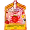 Strawberry Boarding Pass Amanita Shroom Gummies 1000mg